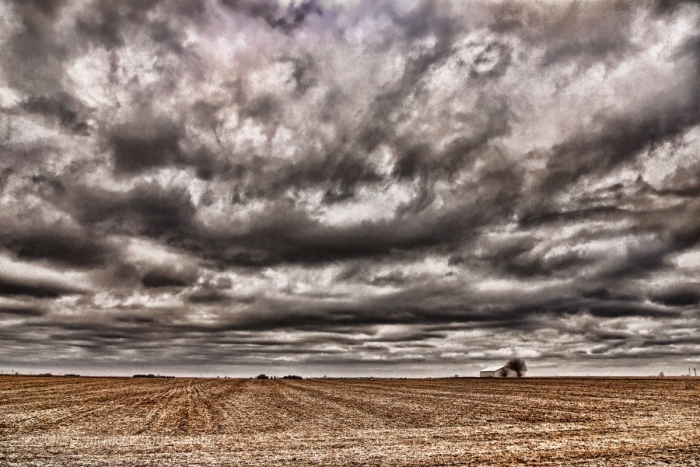 In Late Autumn beneath an Angry Prairie Sky