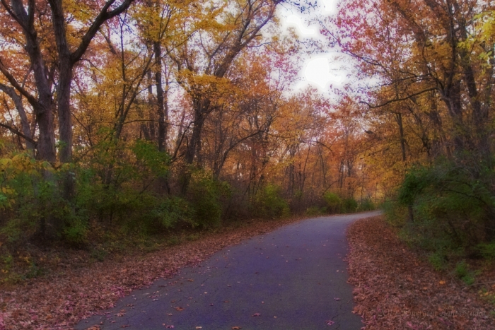 Fall Afternoon on a Winding Country Lane