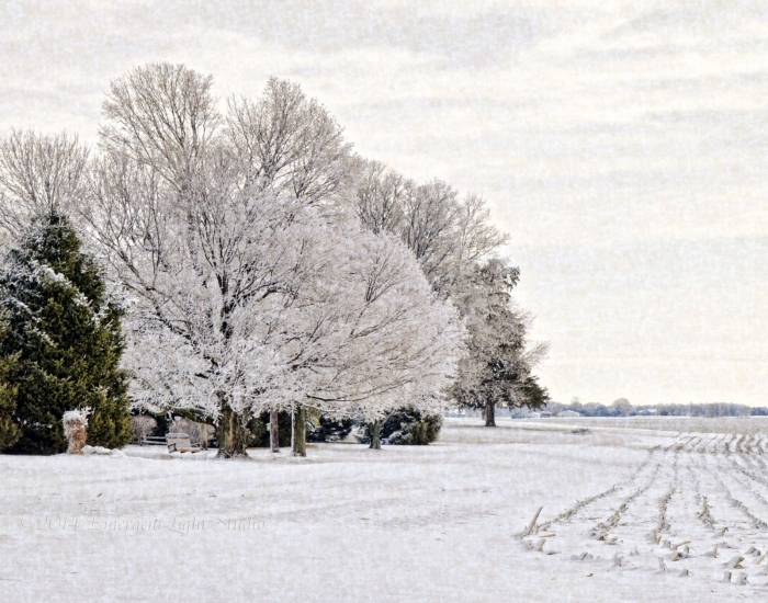 Winter in the Country
