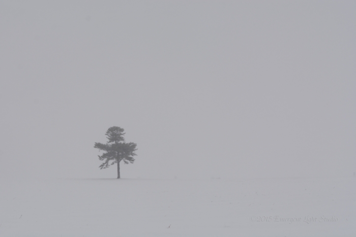 In the Fury and Silence of a Prairie Winter Storm