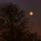 Waxing gibbous moon of 7 September 2014
