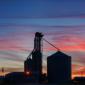 Deep Twilight at a Grain Elevator in Rural America
