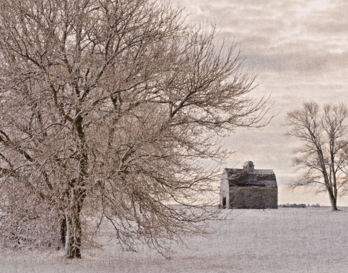 Winter at the edge of a country field
