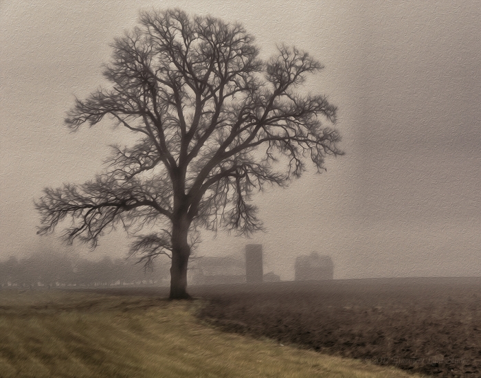 Prairie Farm in Winter Fog