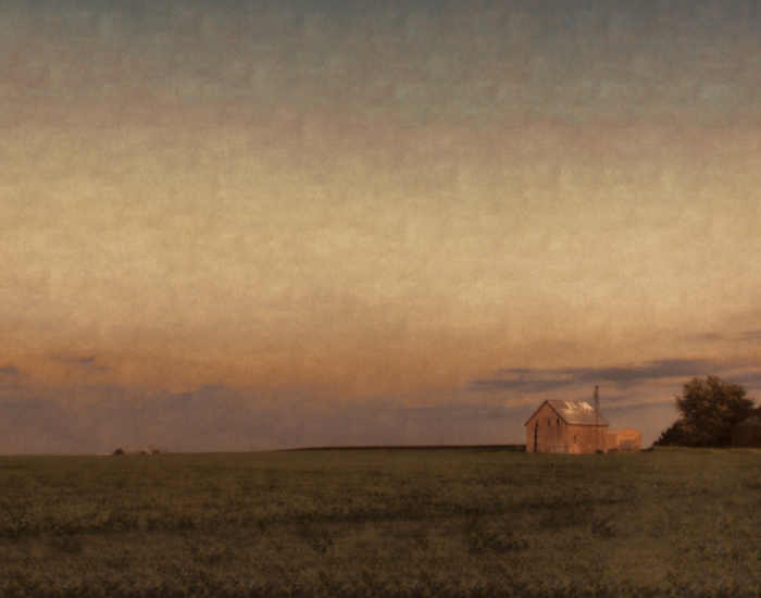 Looking East in a Prairie Field