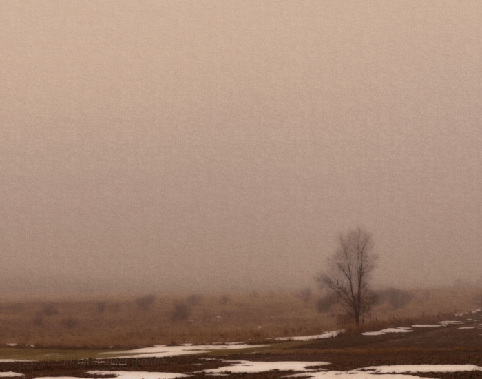 Country Fields Late on a Foggy Winter Afternoon