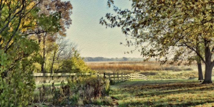 The American Prairie In Autumn