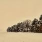 Winter Prairie