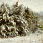 Prairie Trees in Winter Wind