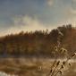 Autumn Morning at a Prairie River