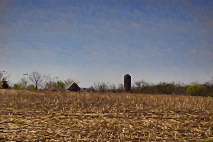 Impression of a Rural Field