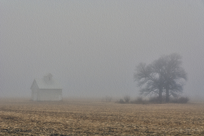 Prairie Field Shrouded in Fog