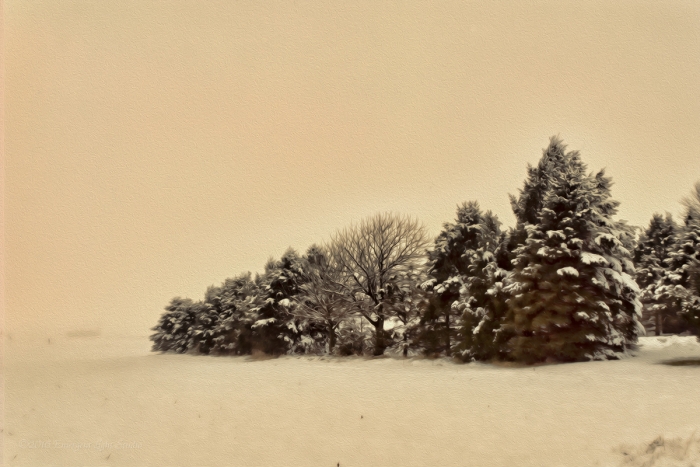 Winter Prairie