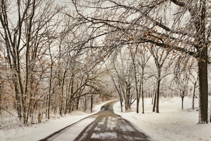 Road through a Snowy Woodland