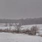 Winter Prairie Landscape