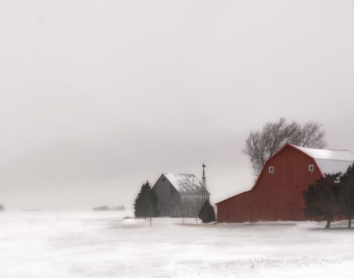 Scene from a Prairie Winter