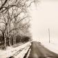 Winter Worlds on a Prairie Road