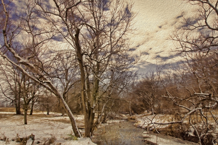At a Prairie Creek in Early Winter