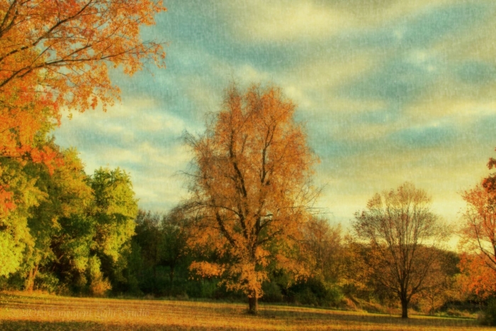 Autumn as a Painting