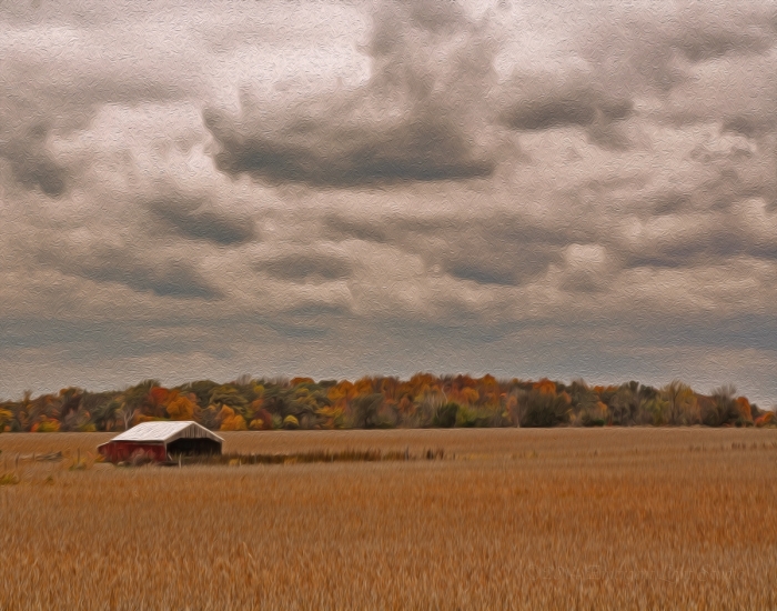 Autumn in a Prairie Field
