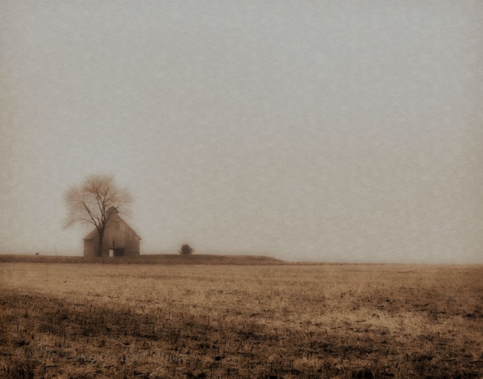 December afternoon fog on a prairie field