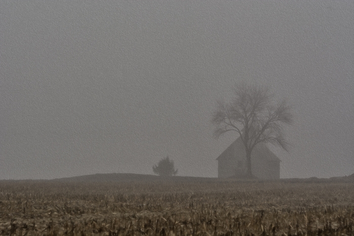 Cold and Foggy Country Morning