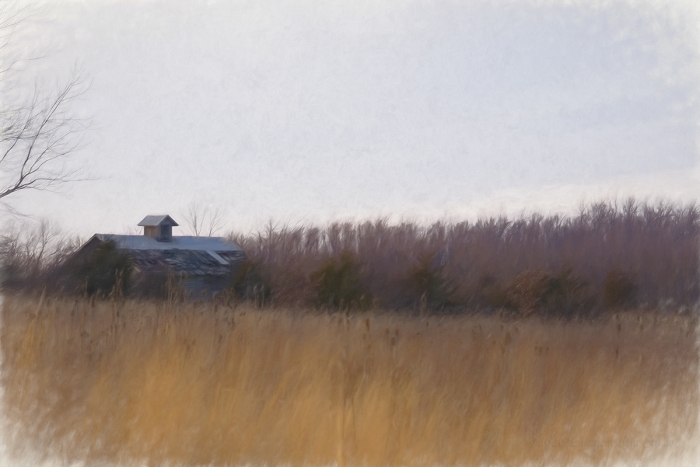 Corn Crib in Prairie Field