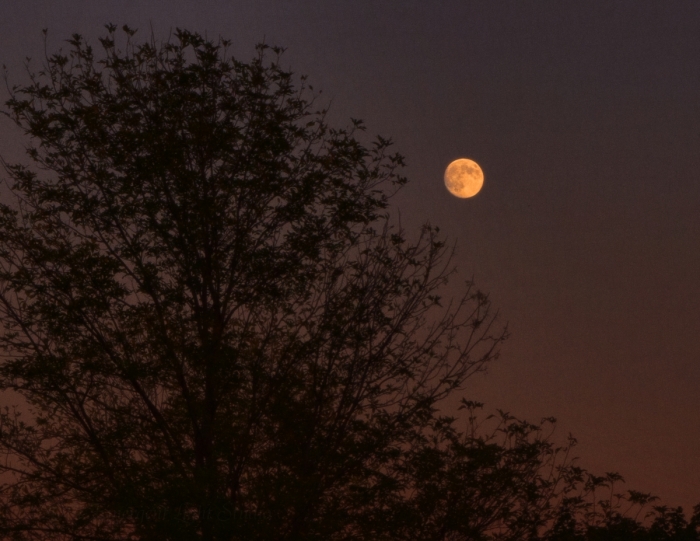Waxing gibbous moon of 7 September 2014