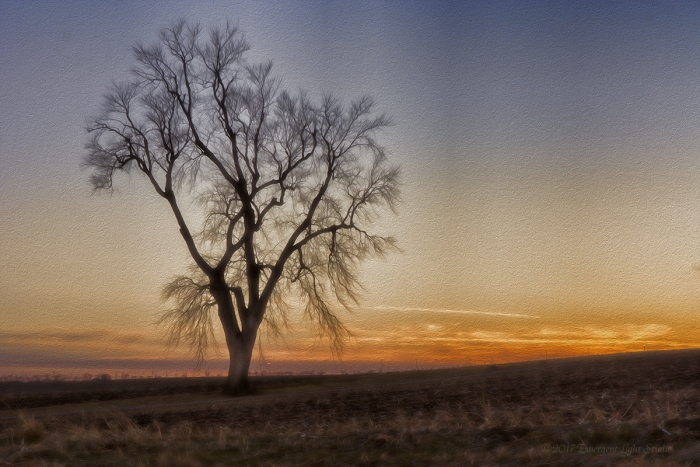Grace in a Prairie Sunset
