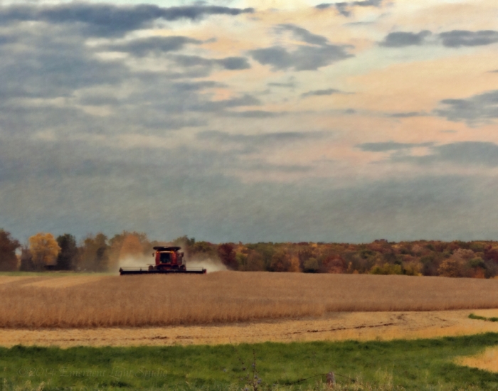Harvest in the October Country