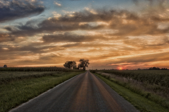 On a Prairie Road at Sunset