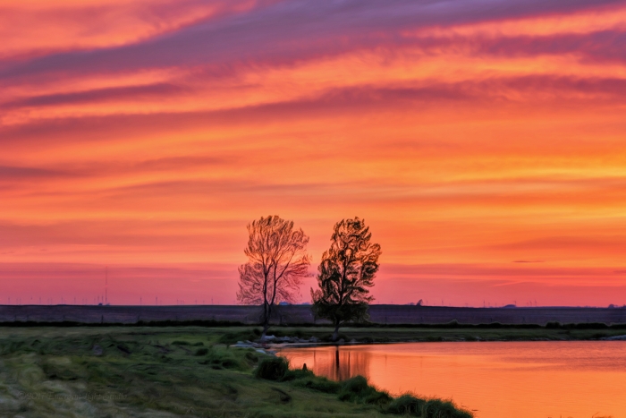 Prairie Pond at Sunset