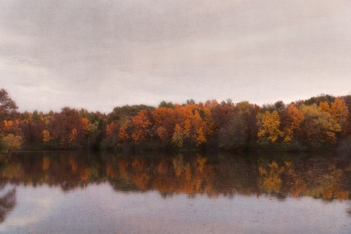 Rural Autumn on a Quiet River