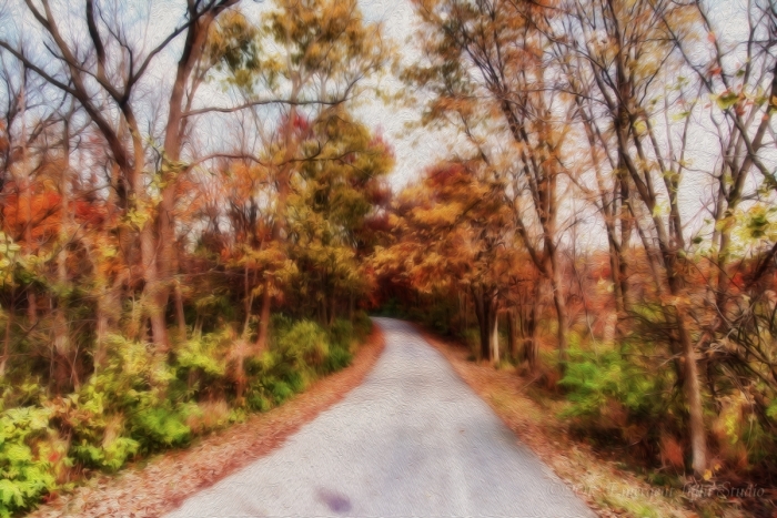 On a Country Road in the Fall