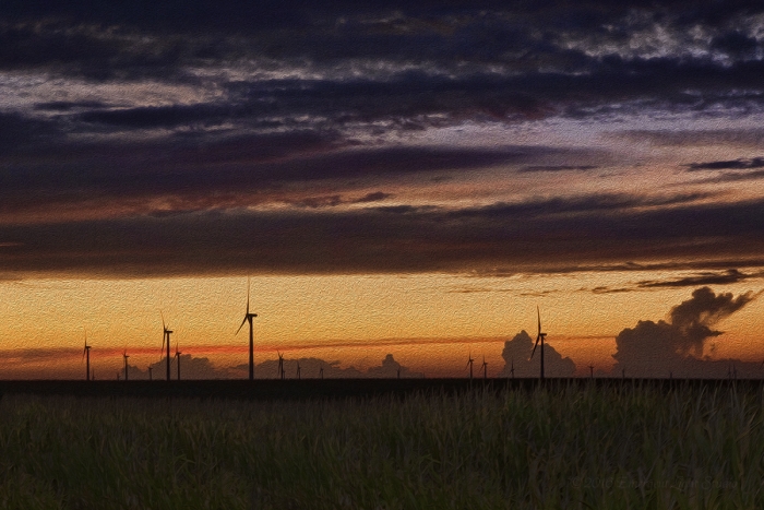 Rural Wind Farm after Sunset