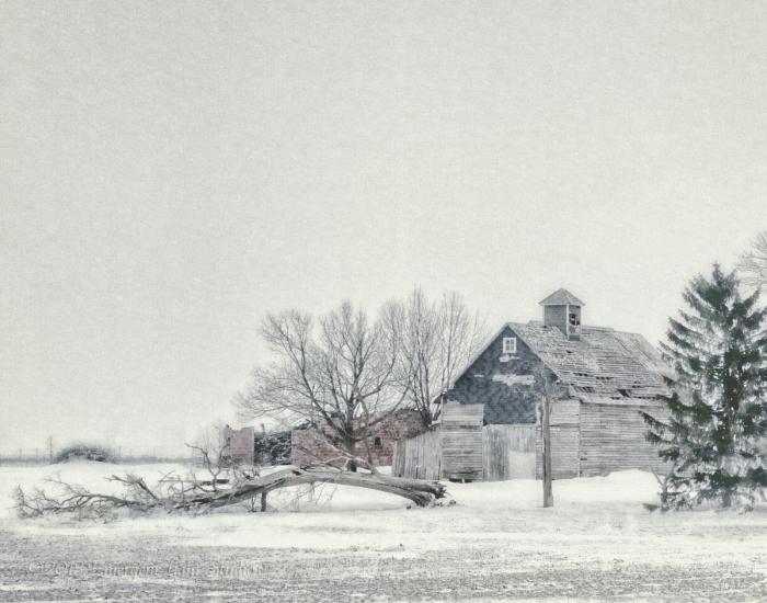 Scene from a prairie rural Winter