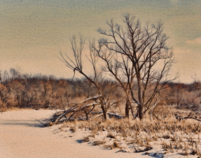 Winter at the Bend in a Prairie River