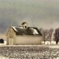 Winter at a Corn Crib in the Midwest