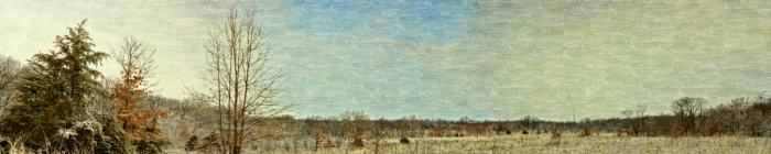 Artistry of the Prairie in Late Winter