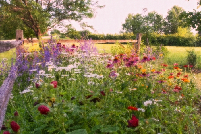 Country Flower Patch