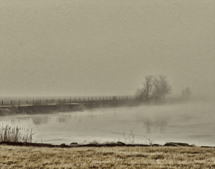 Across an Icy Prairie Pond