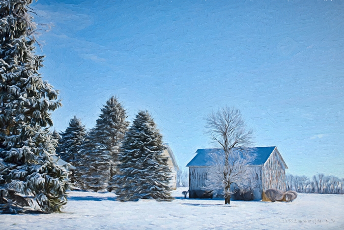 Art from a Prairie Winter