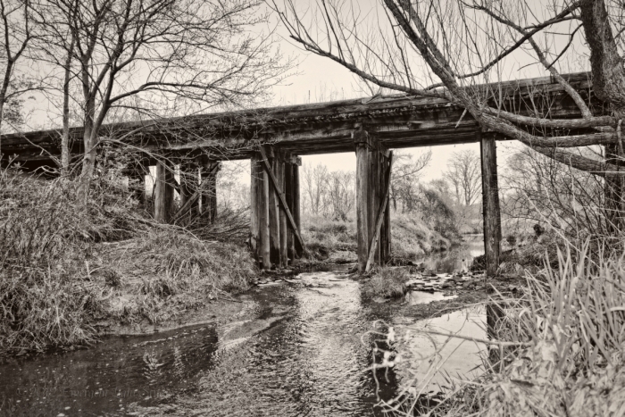 Beneath the Wooden Railroad Bridge