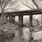Beneath the Wooden Railroad Bridge