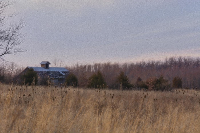 Corn Crib in a Prairie Field