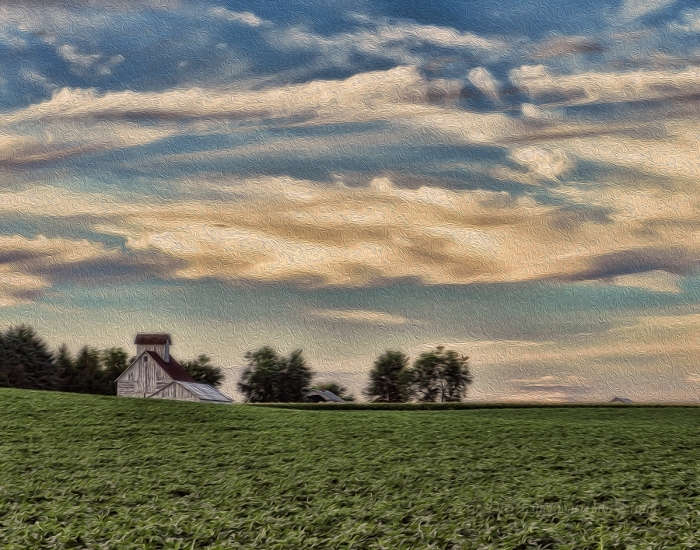 Prairie in Midsummer