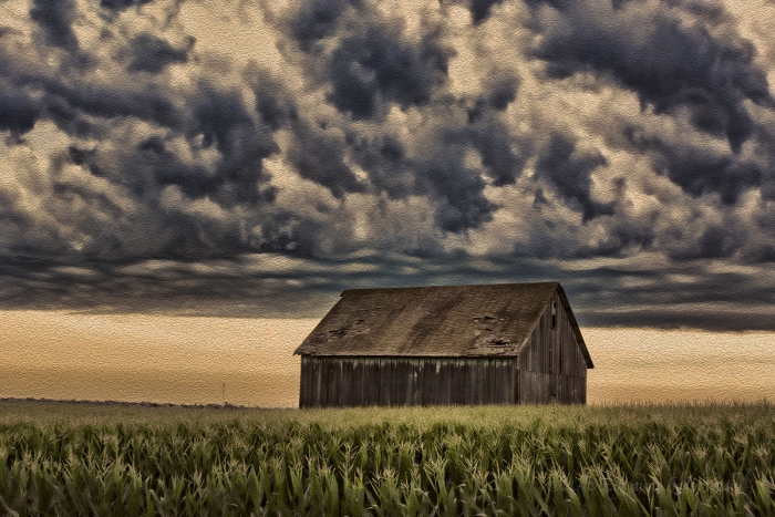 Gathering Storms over a Prairie Field