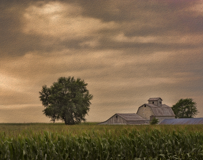 Farm on a Stormy Afternoon