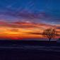Twilight on the American Prairie