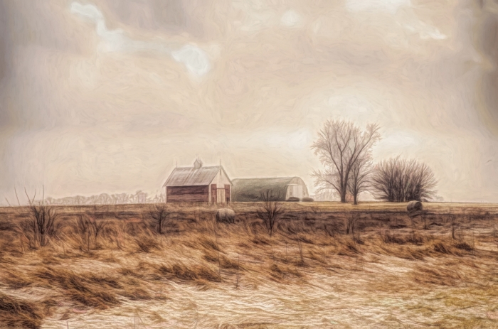Winter Wind on a Prairie Field